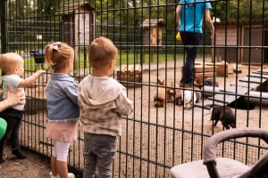 Vakantiepark Heihaas