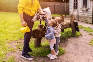 Vakantiepark Heihaas