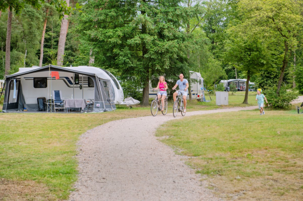 Ontdek RCN Het Grote Bos: 10 tips voor een perfecte vakantie