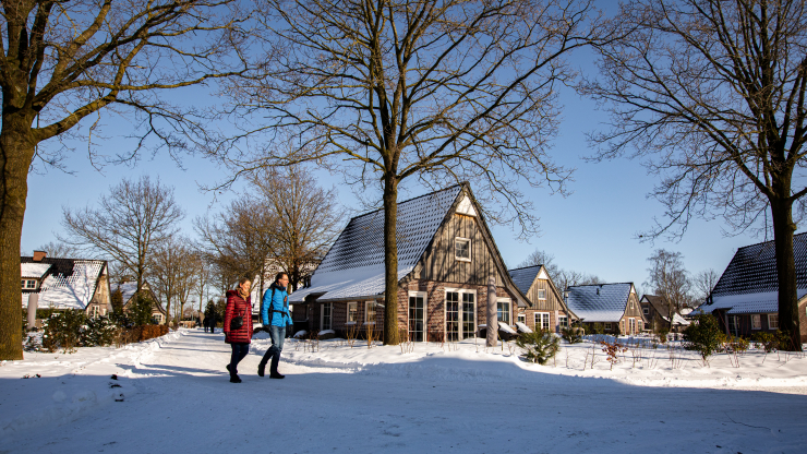 Villapark Hof van Salland