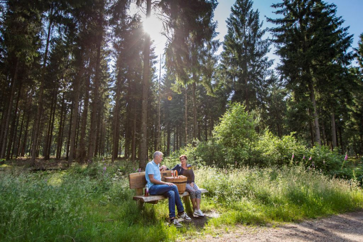 Landal Hunerwold State