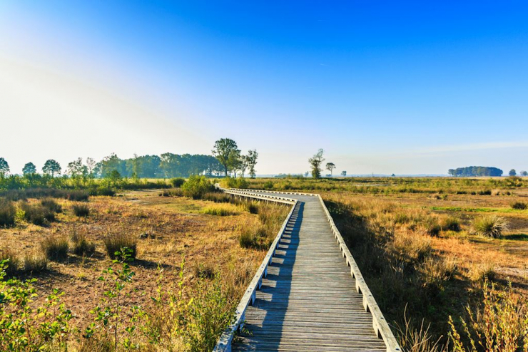 Landal Hunerwold State