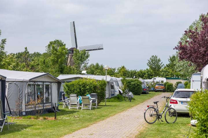 Camping International