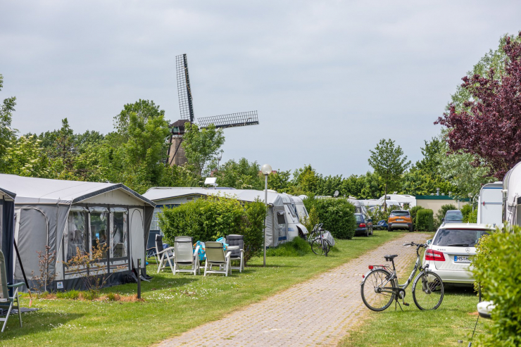 Camping International