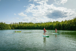 Forest Resort Your Nature