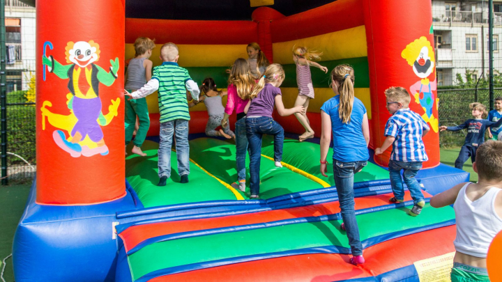 Recreatielandgoed De IJsvogel