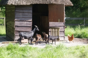 Landgoed 't Wildryck