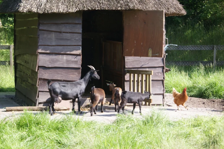 Landgoed 't Wildryck