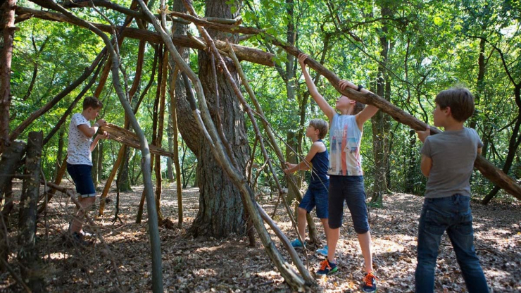 Lemeler Esch Natuurcamping