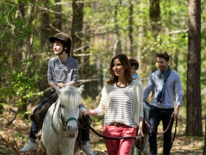 Les Hauts de Bruyères