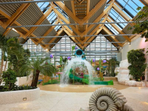 Les Landes de Gascogne