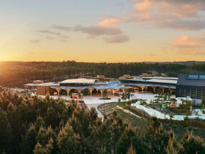 Les Landes de Gascogne