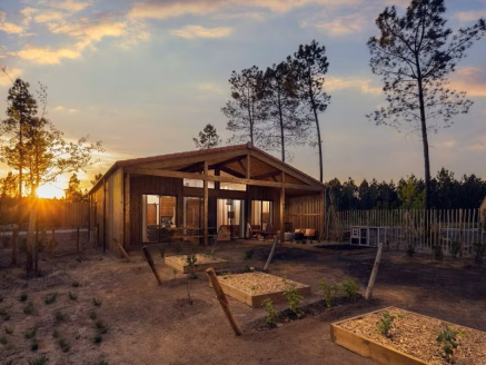 Les Landes de Gascogne