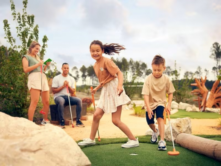 Les Landes de Gascogne