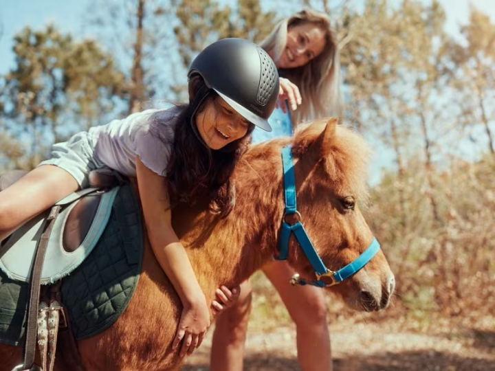 Les Landes de Gascogne