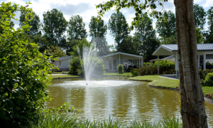 Droompark Molengroet