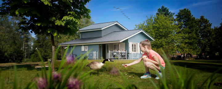 Vakantiepark Molenheide