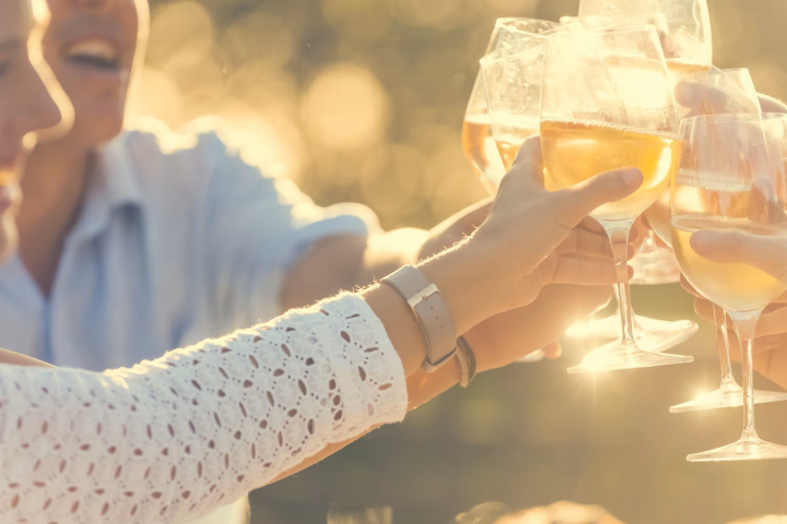 Noordzee Résidence Dishoek