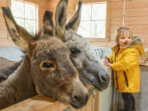 CenterParcs Park Hochsauerland
