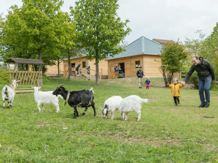 CenterParcs Park Hochsauerland