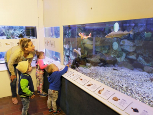 CenterParcs Nordseeküste