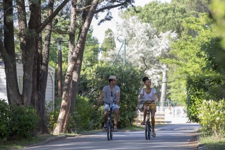 Plein Air des Chênes