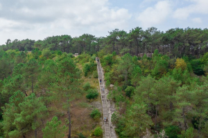 Résidence Berger Duinen