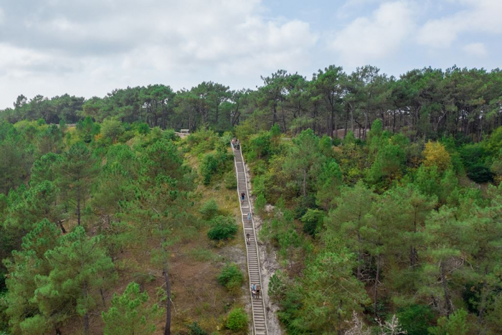 Résidence Berger Duinen