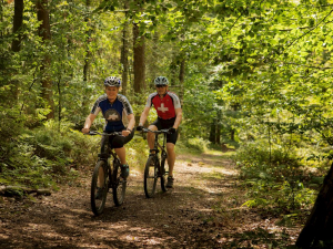 Landal Résidence 't Hof van Haamstede