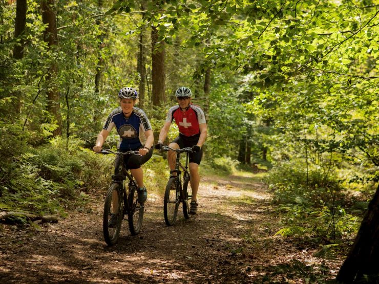 Landal Résidence 't Hof van Haamstede