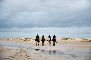 Résidence Terschelling