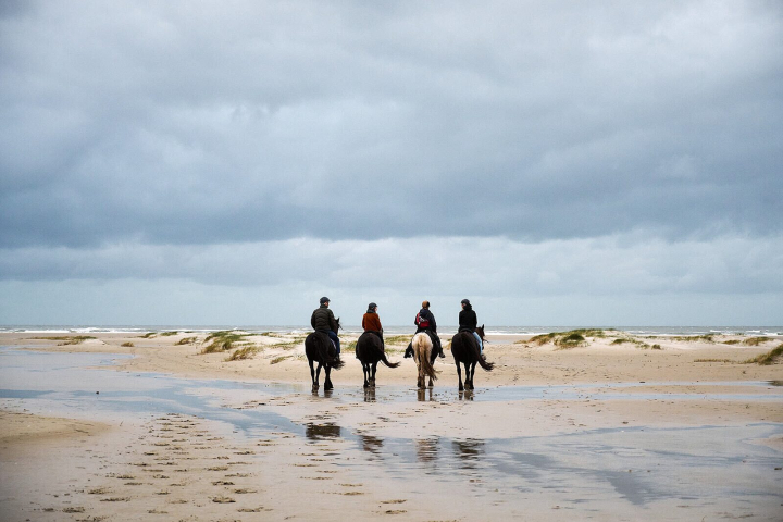 Résidence Terschelling