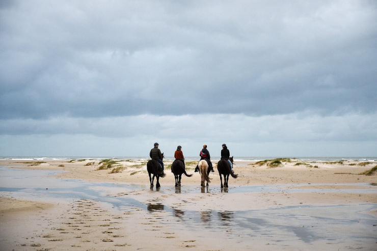 Résidence Terschelling