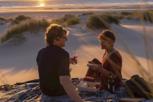 Landal Résidence Westduin