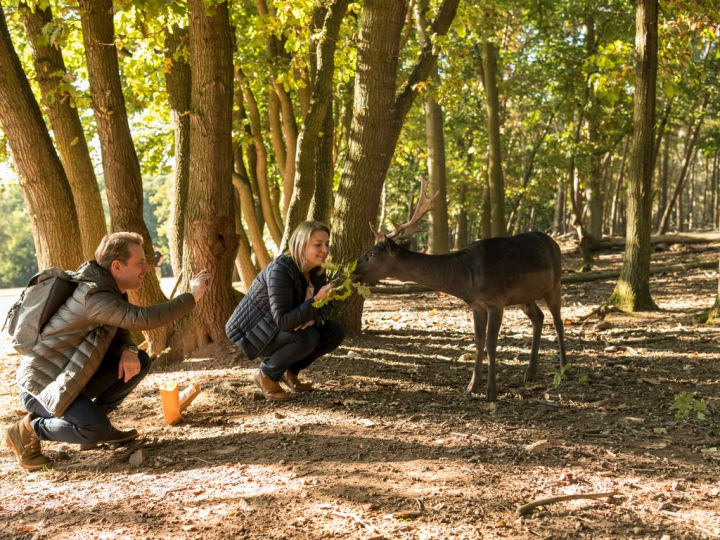 Dormio Resort Eifeler Tor