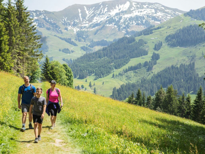 Landal Resort Maria Alm