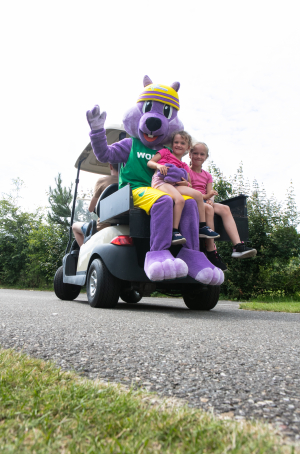 Vakantiepark 't Rheezerwold