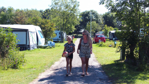 Molecaten Rondeweibos