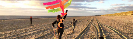 Molecaten Rondeweibos