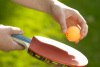 Camping Dishoek