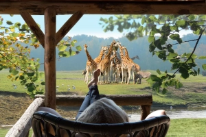 Safari Resort Beekse Bergen