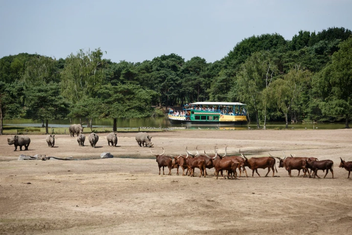Safari Resort Beekse Bergen