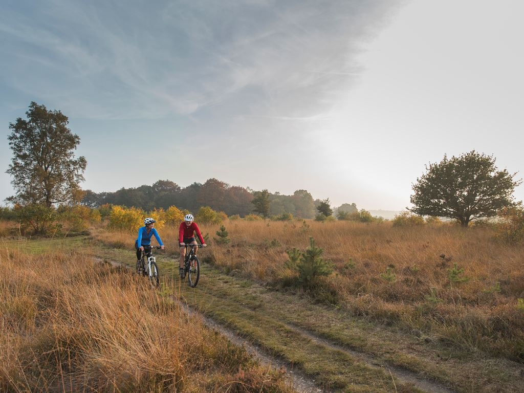 10x de Leukste Activiteiten van de Sallandse Heuvelrug