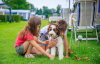 Camping Scheldeoord