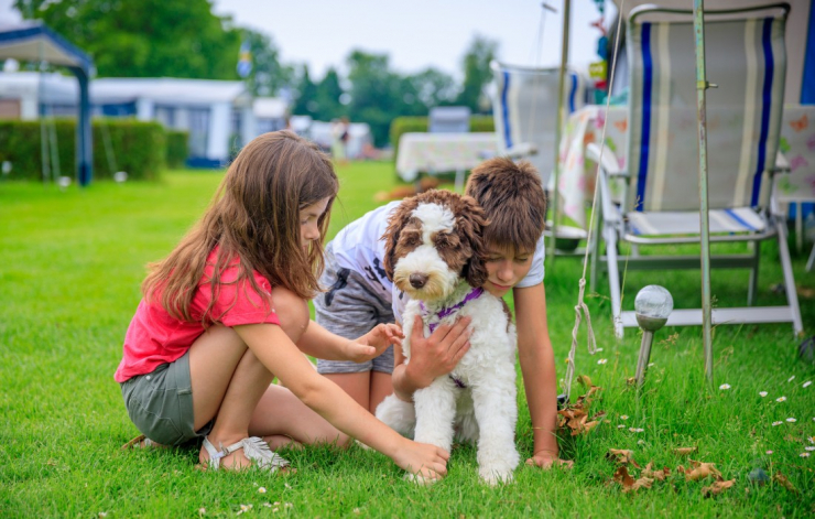 Camping Scheldeoord