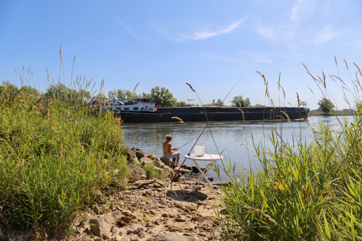 Recreatiepark De Scherpenhof