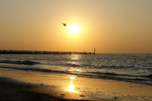 EuroParcs Droompark Schoneveld