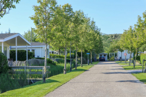 EuroParcs Droompark Schoneveld