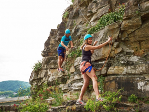 Landal Village les Gottales