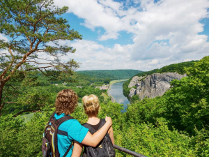 Landal Village les Gottales